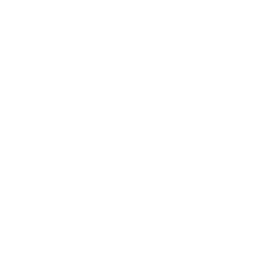Man with Ladder Icon