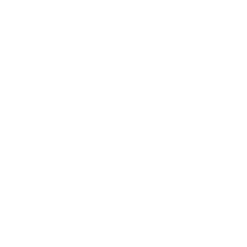 iconhandyman